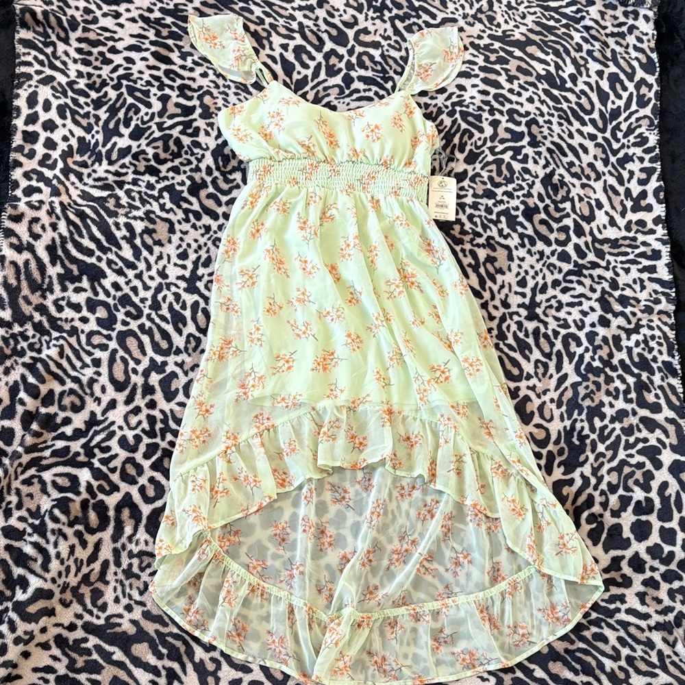 No Boundaries Light Green Floral Dress
